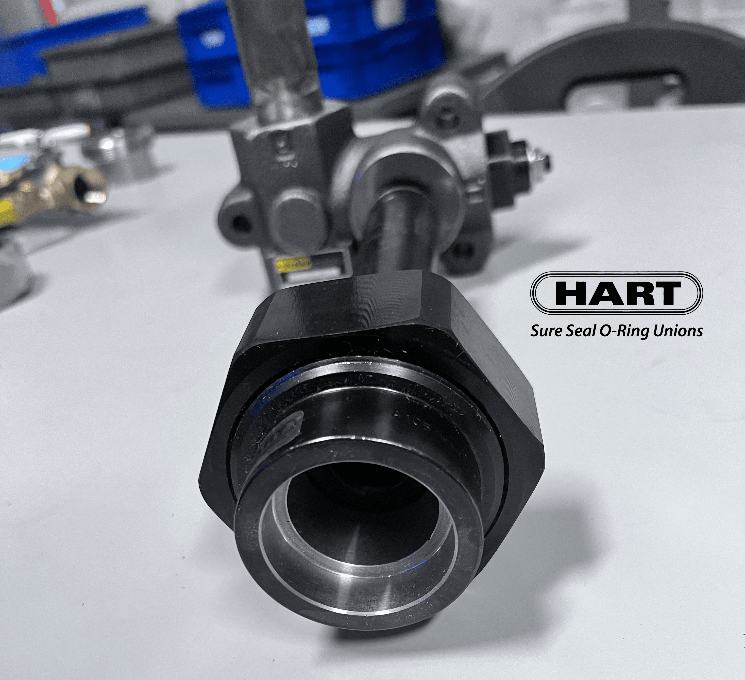 HART Carbon Steel Socketweld Unions connected to a valve.